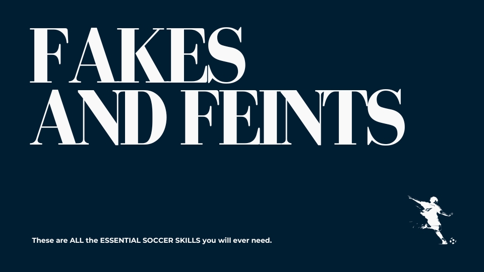 Fakes and Feints text graphic.